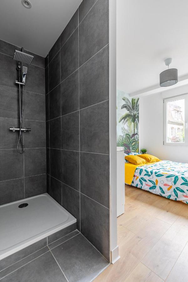 Strasbourg Centre / Krutneau Apartment ภายนอก รูปภาพ